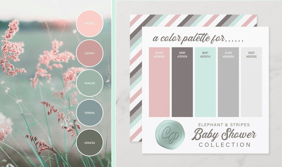 Colour-scheme-1